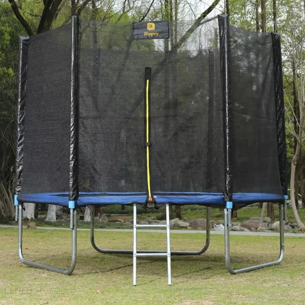 RIPPEY 10 FT (312 см) — Батут із Сіткою Безпеки та Зручною Драбинкою для Домашнього Відпочинку - Зображення 2