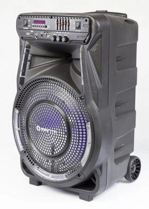 Акустична Колонка Manta SPK5033 — Потужний Звук для Атмосферних Подій