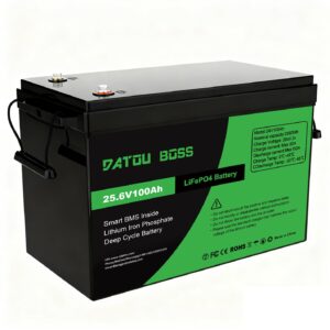 Акумулятор DATOU BOSS 24V 100Ah з BMS, LiFePO4 для сонячних систем, ДБЖ, RV (SP-DT-24V100A-A01-EU)