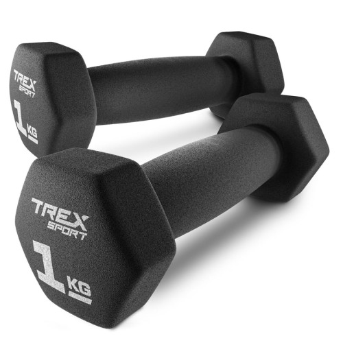 Фітнес-гантелі Trex Sport TX-010VD 2×1 кг. чавунні